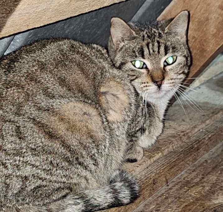 Photo of Loretta