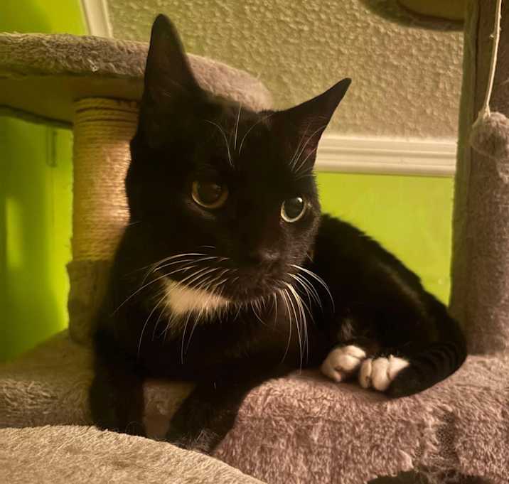 Photo of Ripley