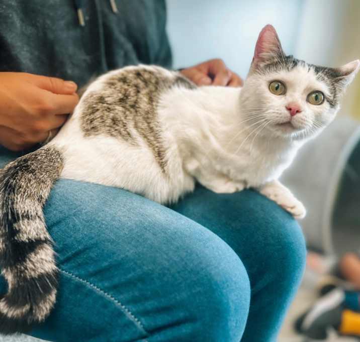 Photo of Pretty Mama