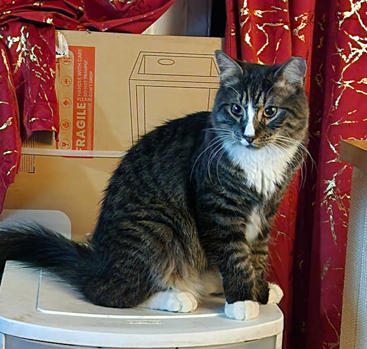 Photo of Sora