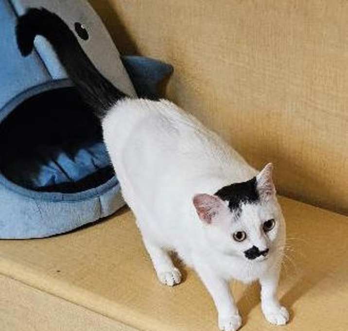 Photo of Squishmallow