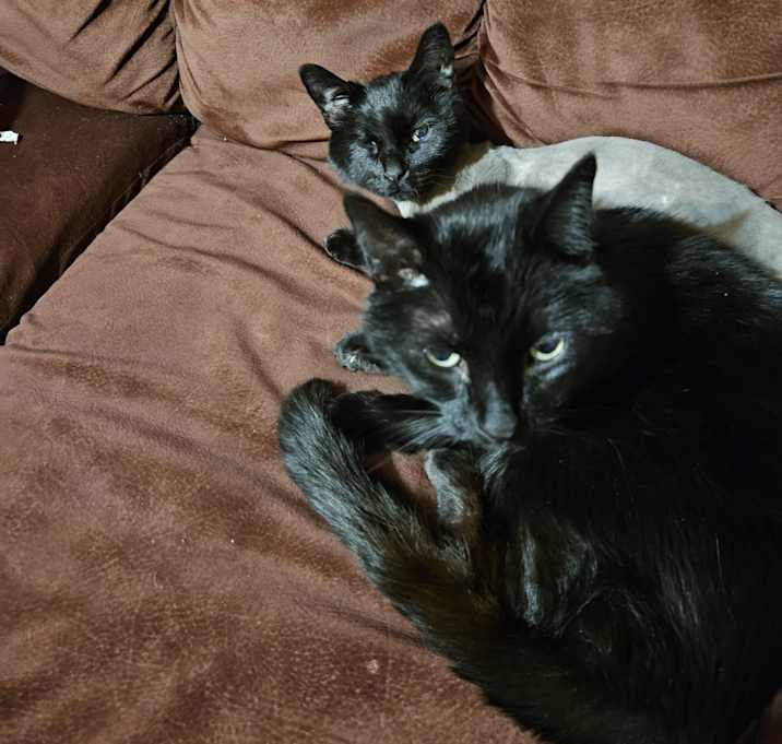 Photo of Mia and Boi