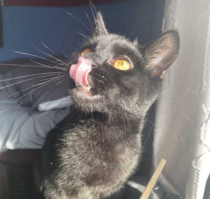 Photo of Lucifer