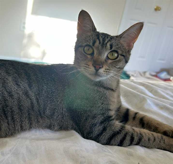 Photo of Buttercup