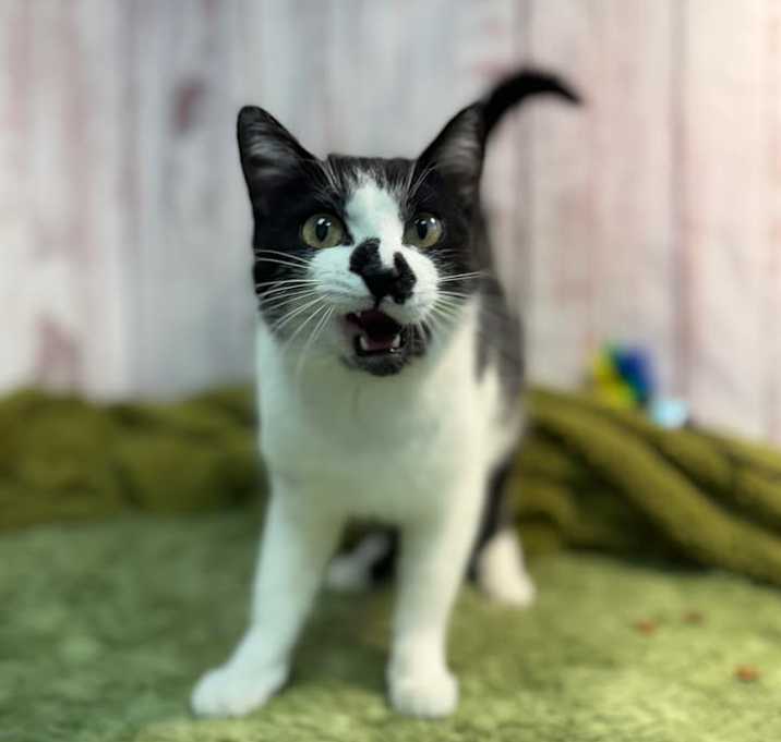 Photo of Charolette