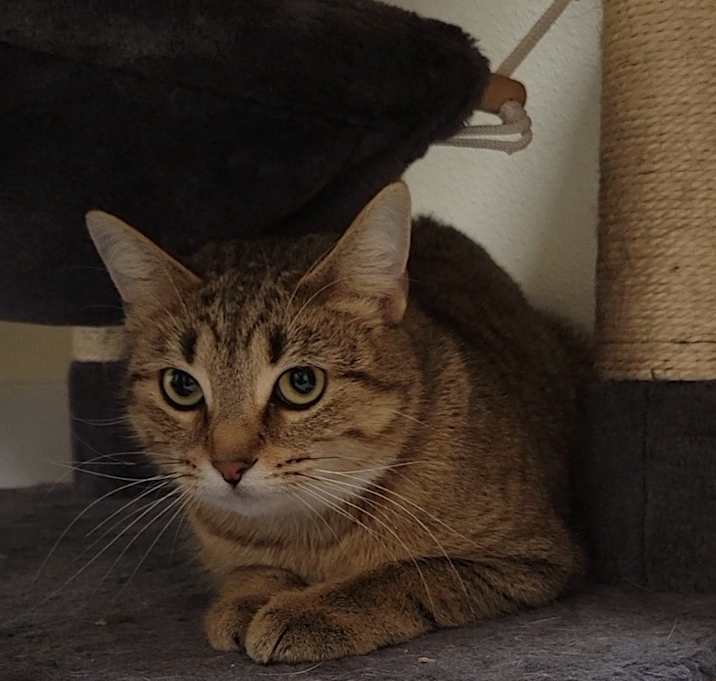 Photo of MAZY