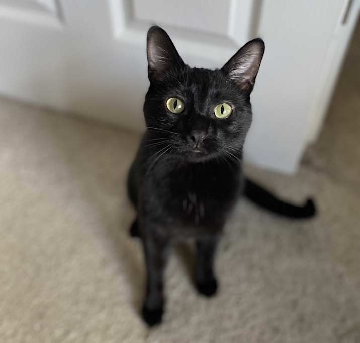 Photo of Acua