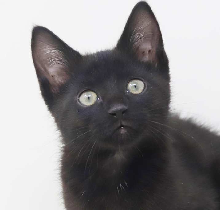 Photo of Mr Wigglelegs