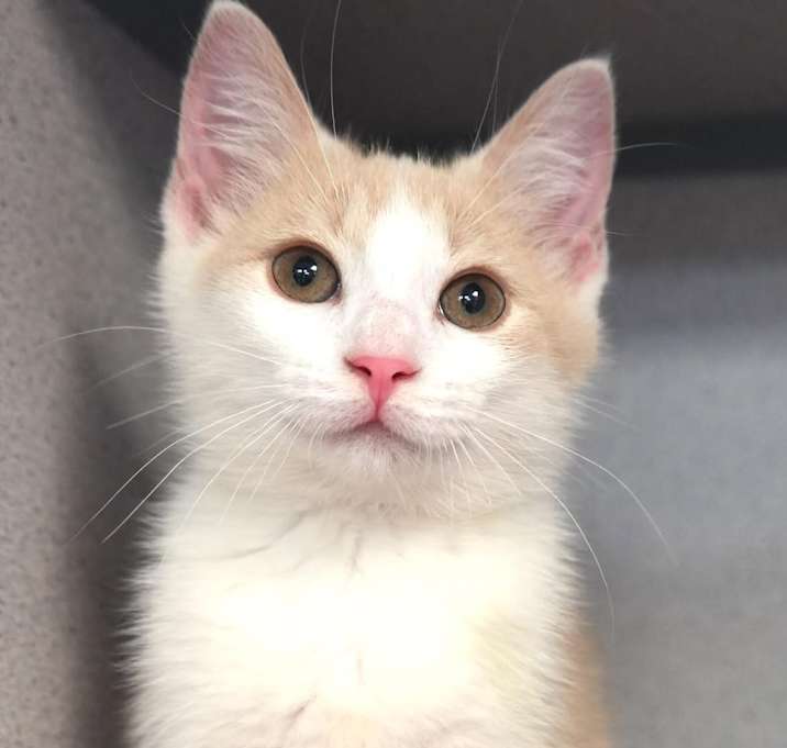 Photo of Timmy
