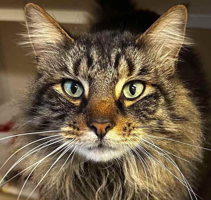 Photo of Ralphy