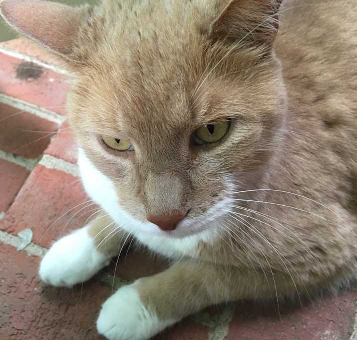 Photo of Andy