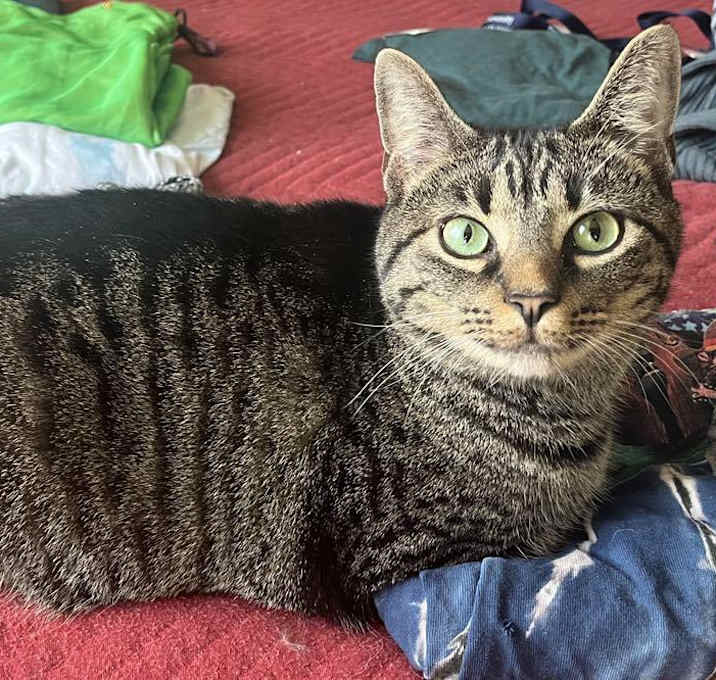 Photo of Storm