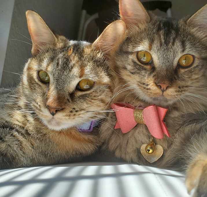 Photo of Tera & Nora