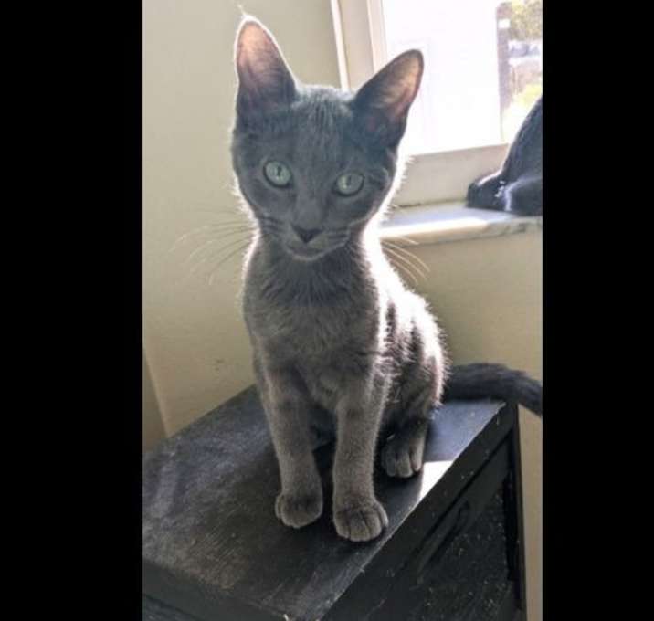 Photo of Aspen