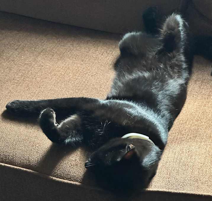 Photo of Ninja