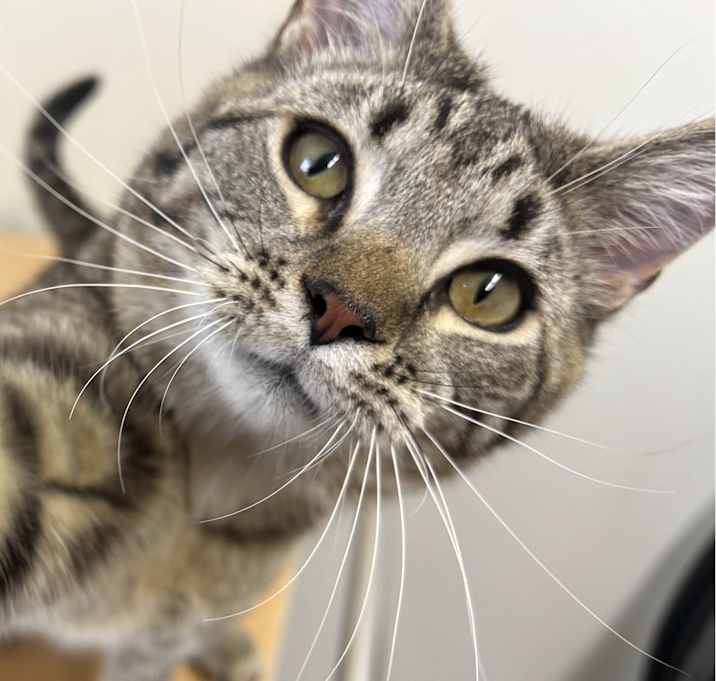 Photo of Toots