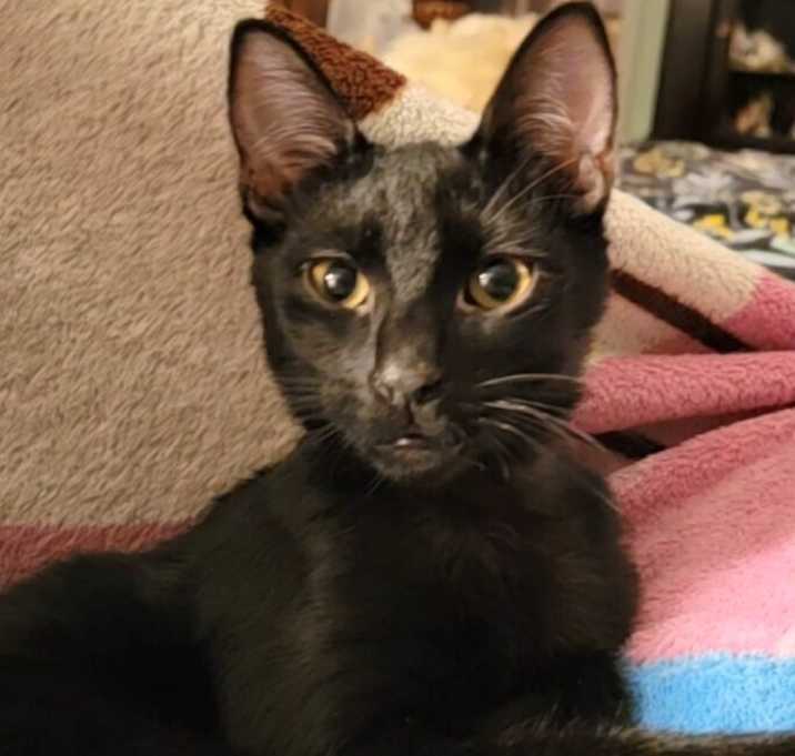 Photo of Noah
