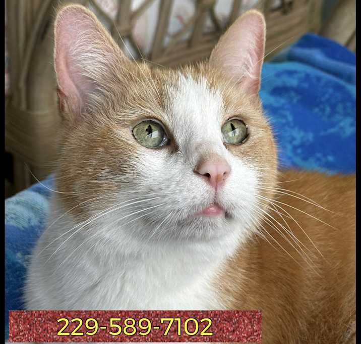 Photo of Tigger (Mom died) *VIDEO*