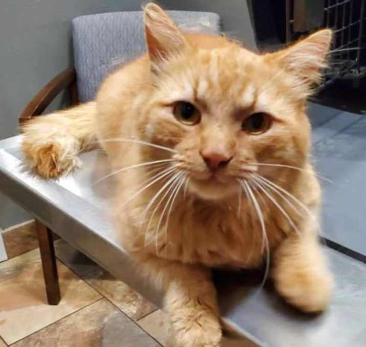 Photo of Woodrow