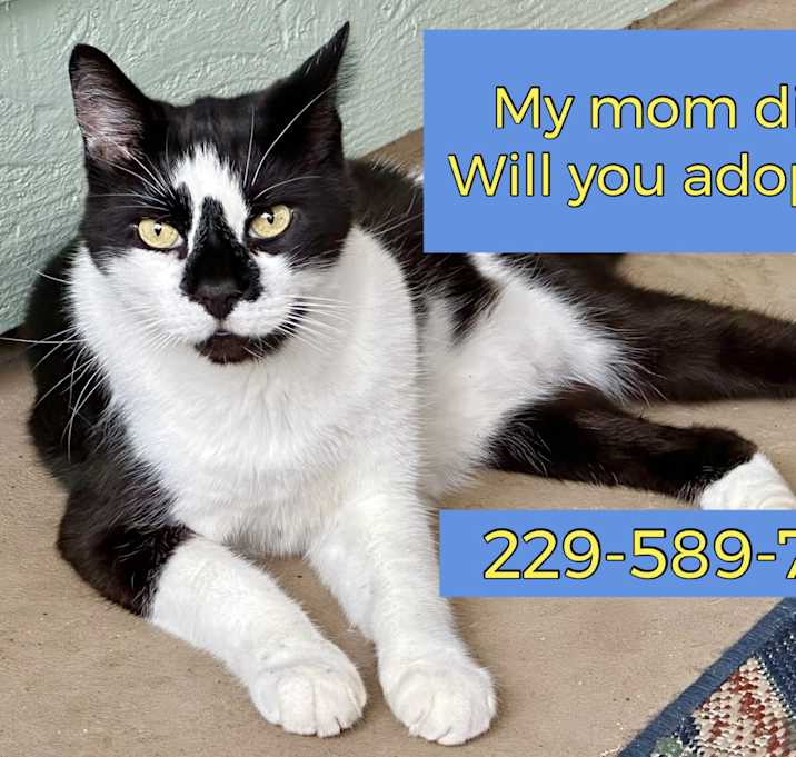 Photo of ROSCOE (*video] mom died