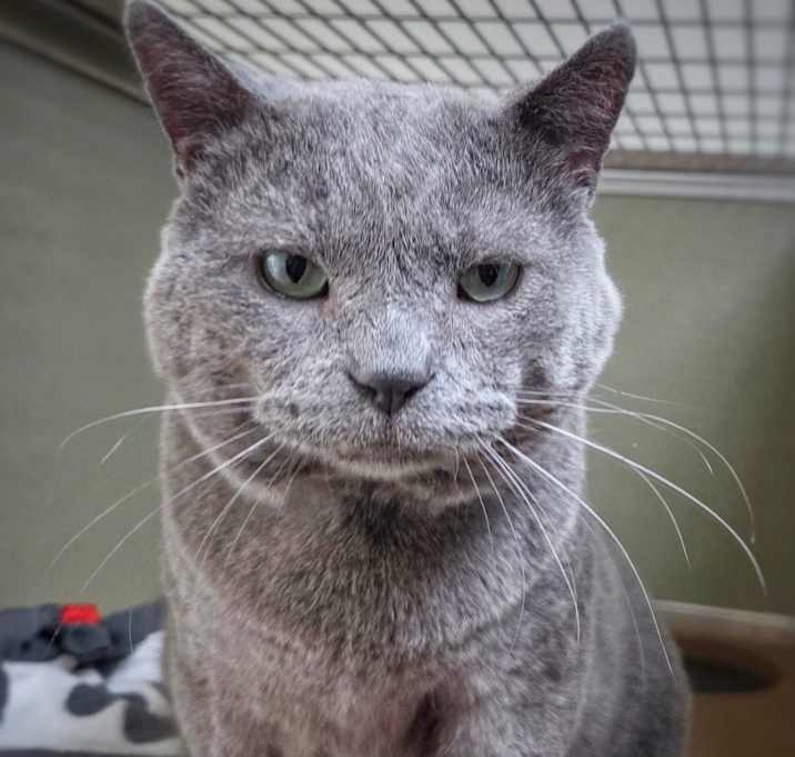 Photo of Nimbus