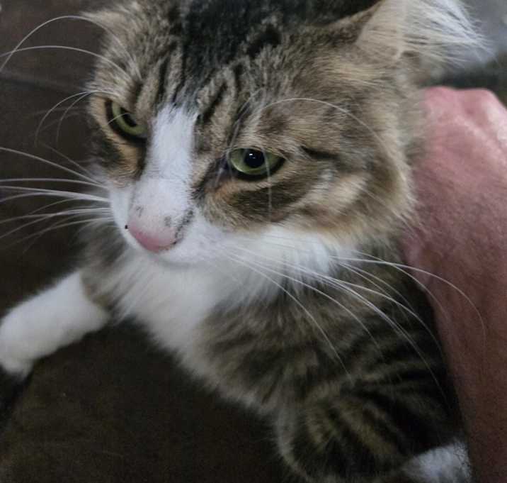 Photo of Cautious