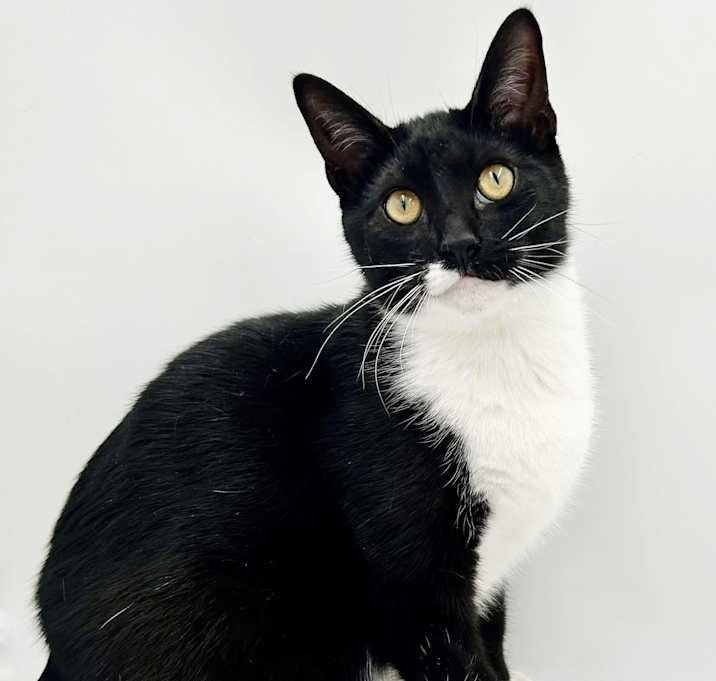 Photo of Benny