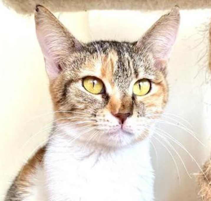 Photo of Mila
