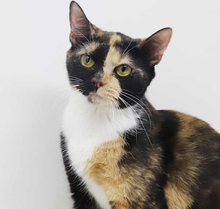 Photo of Clarissa