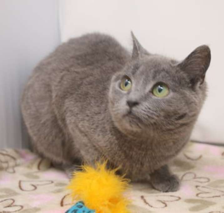 Photo of Lady Guinevere