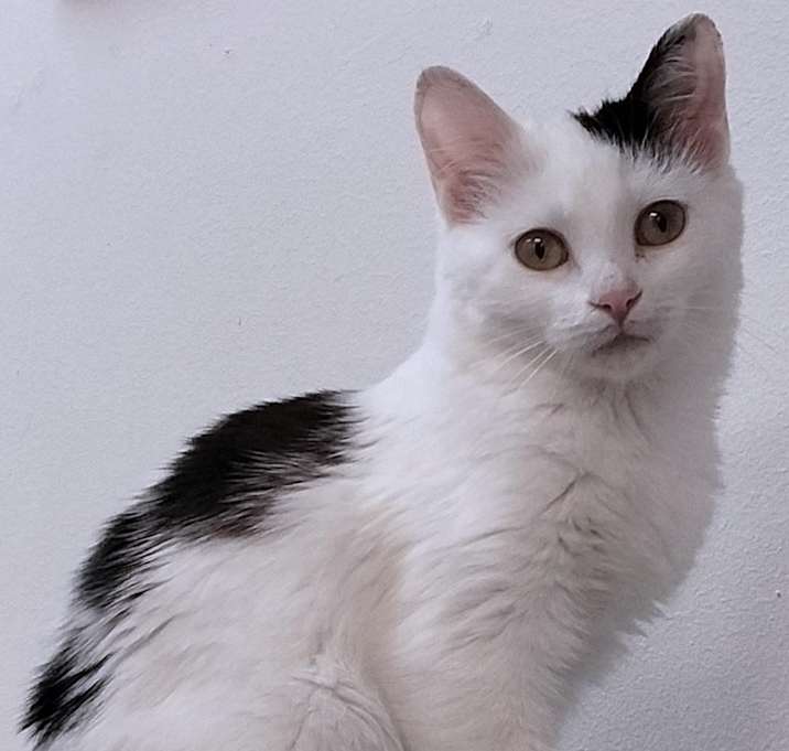 Photo of Twila