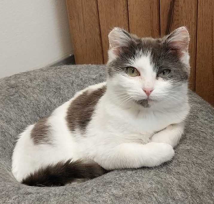 Photo of Eliza