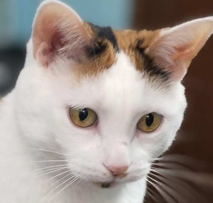 Photo of Bridget