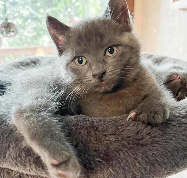 Photo of *Ender 