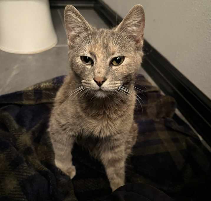 Photo of Lola