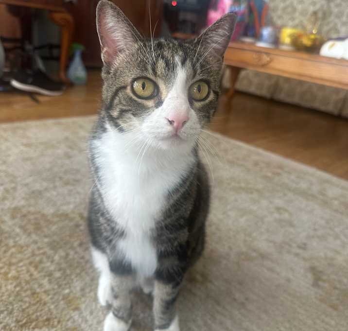 Photo of Missy