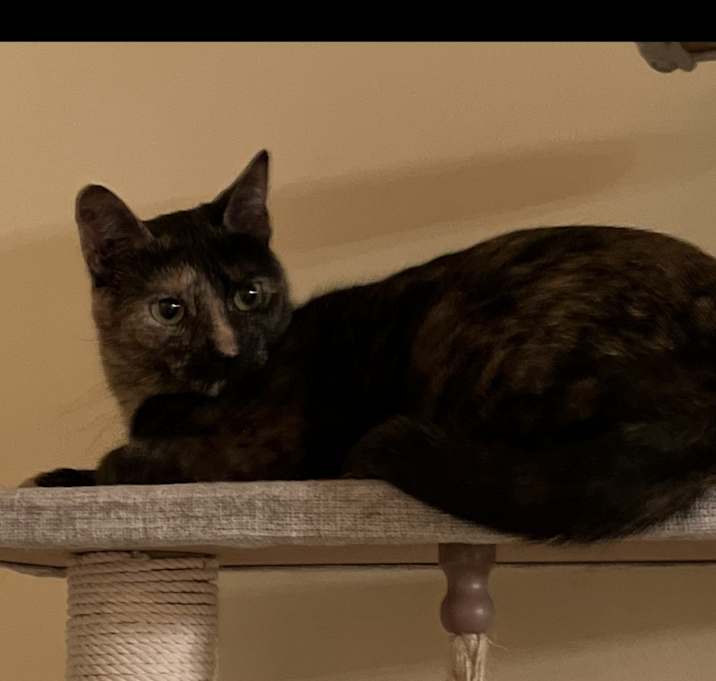 Photo of Beverly (Bev)
