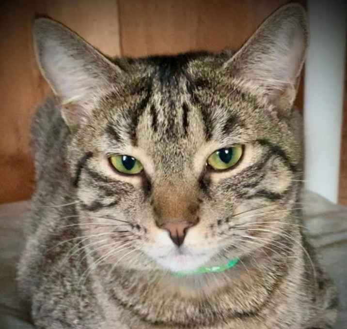 Photo of Zeeria