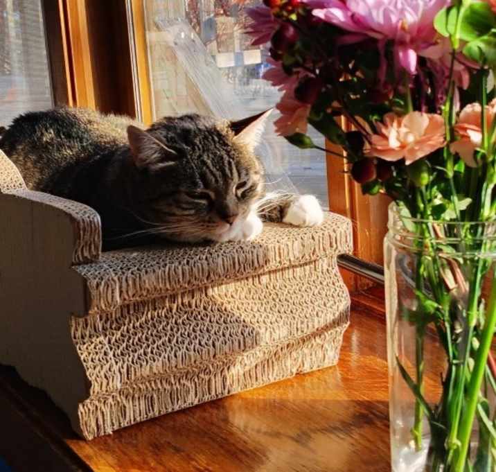 Photo of Abby