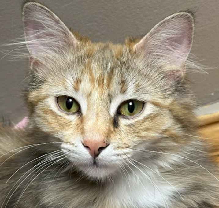 Photo of Sam