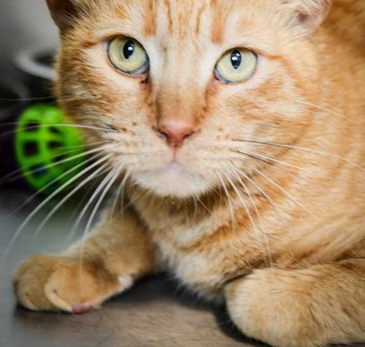 Photo of Pappy