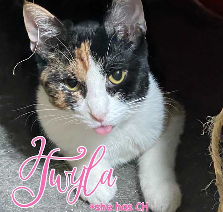 Photo of Twyla