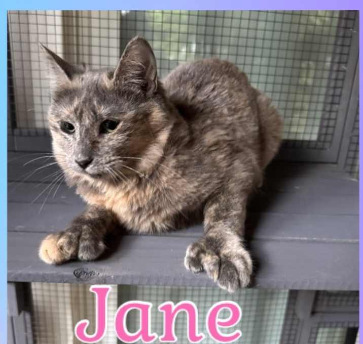 Photo of Jane