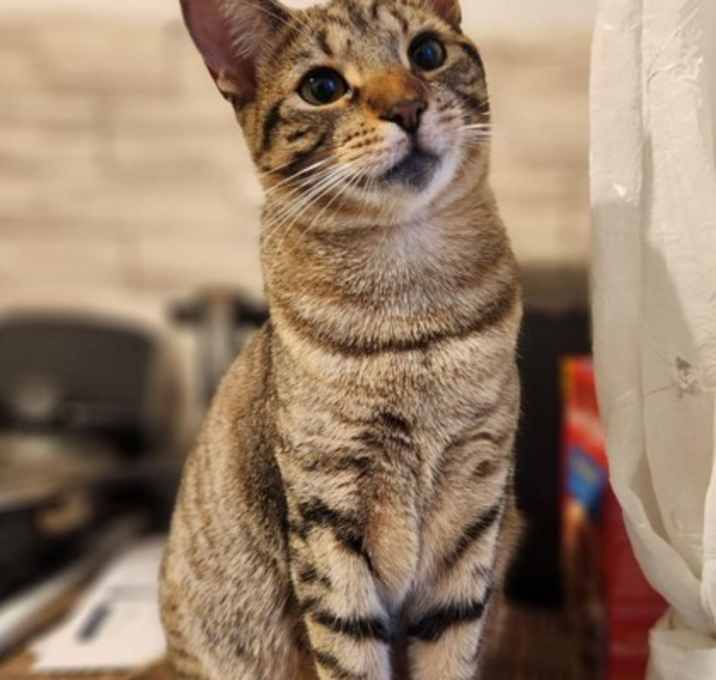 Photo of Tisha