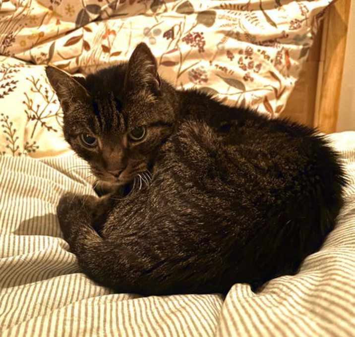 Photo of Frasier