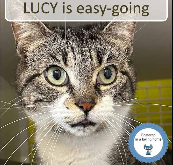 Photo of Lucy