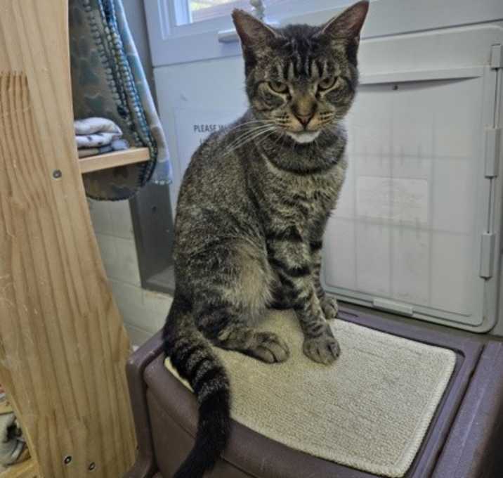 Photo of Trevor