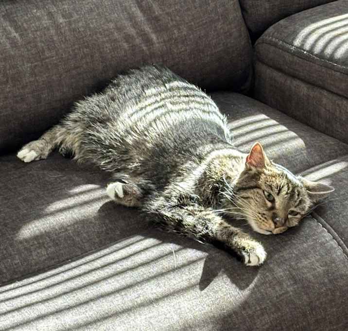 Photo of Sebastian