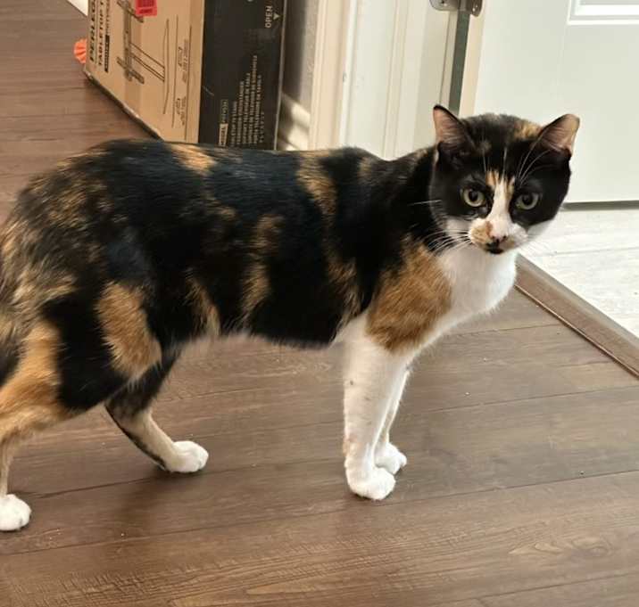 Photo of Stormi