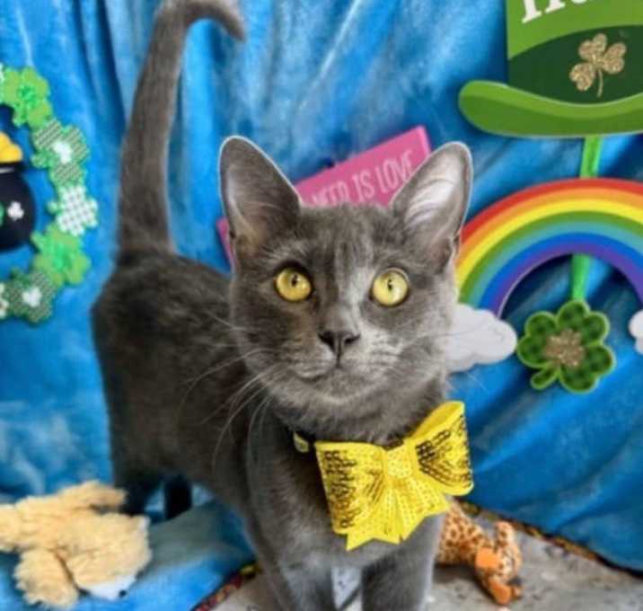 Photo of Dutchess